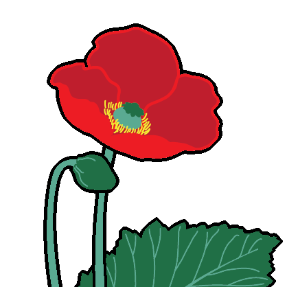 icon.png